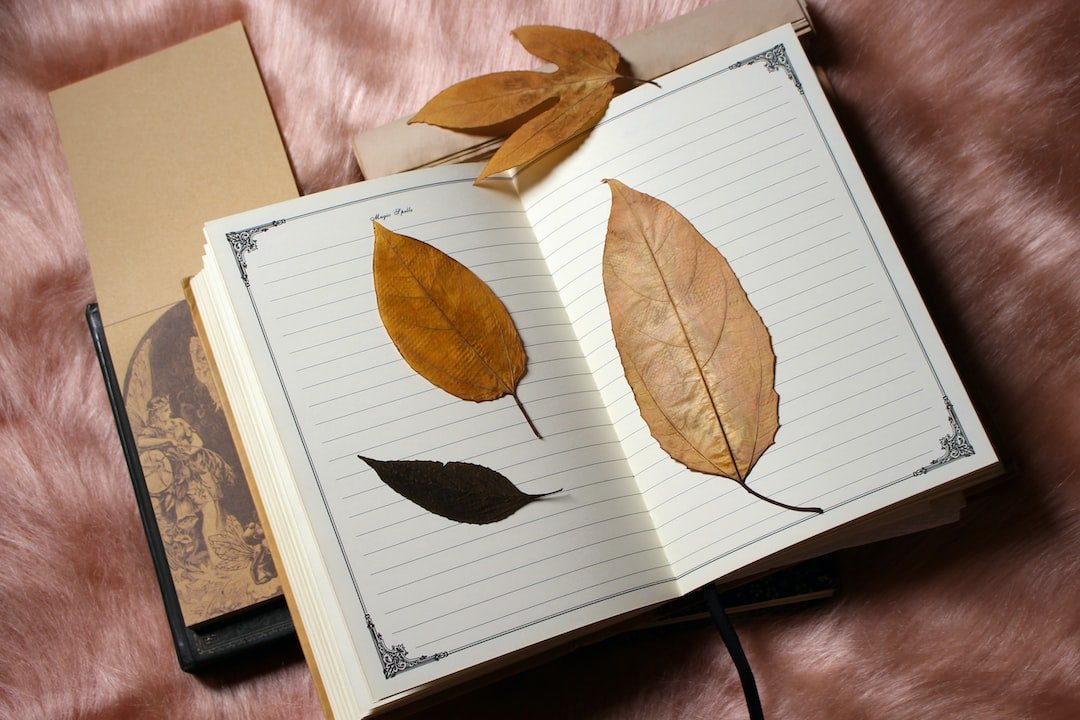an open book with leaves on top of it
